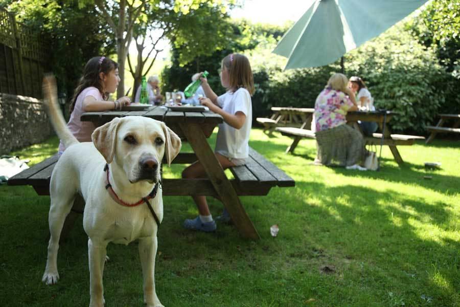The Star And Garter Bed and Breakfast East Dean  Buitenkant foto